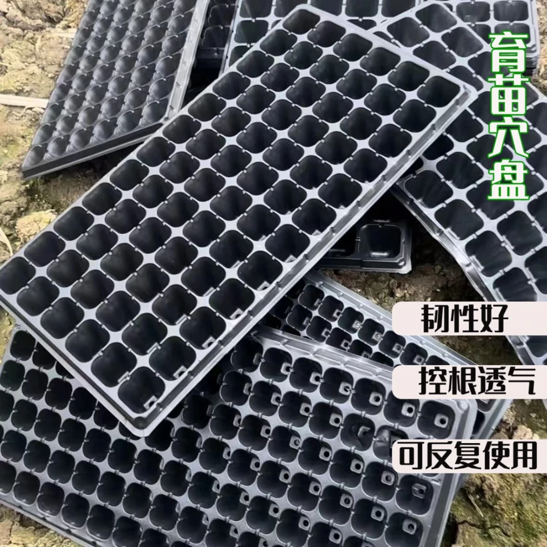 育苗穴盘西红柿辣椒穴盘蔬菜秧苗盘草莓穴盆营养钵蔬菜育苗盘