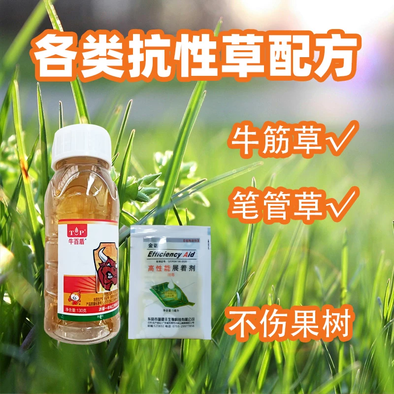 牛百盾小瓶装  节节草  牛筋草  笔管草 配方