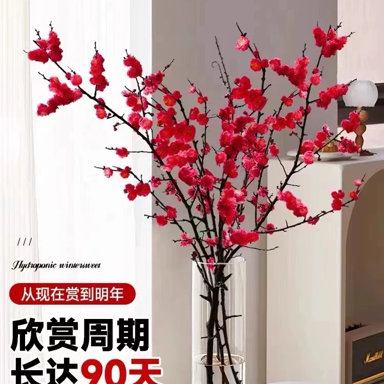 Z【遇水开花】新年装饰红梅花枝耐寒冬季室内水培干枝年宵欣赏花卉