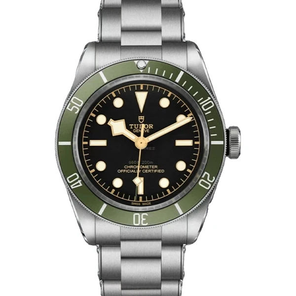 99新 TUDOR/帝舵 老佛爷/帝舵碧湾/自动机械/19年全套/41mm