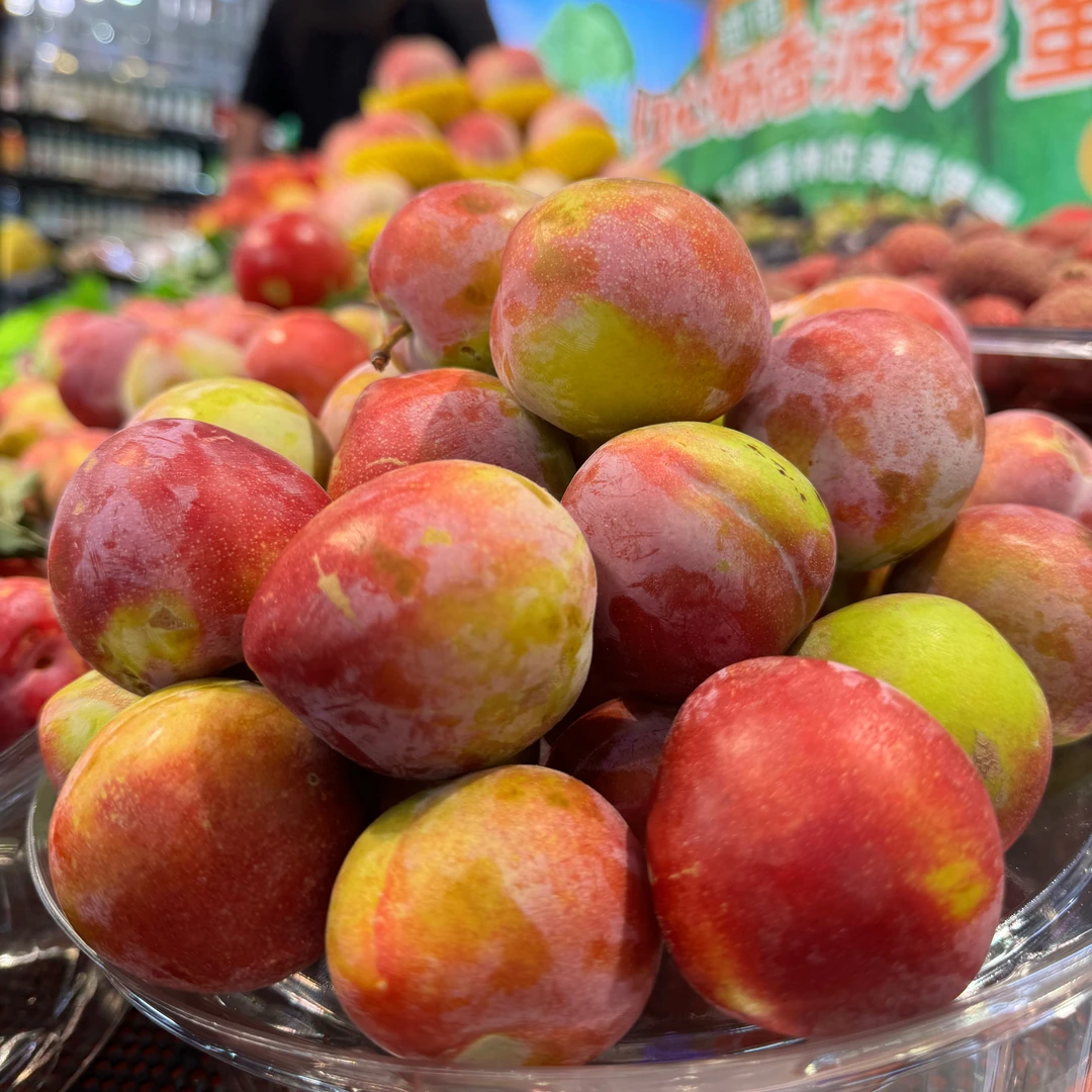 【鲜果】山地盖县李子500g