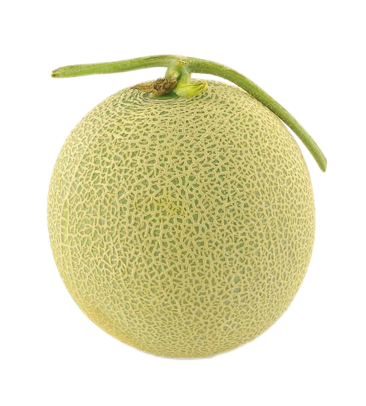 【鲜瓜】玫珑蜜瓜一个约3斤左右