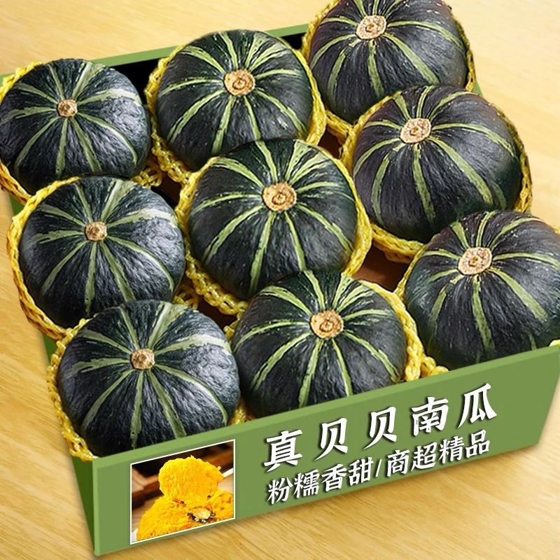 【当季新瓜】正宗真贝贝南瓜板栗味小南瓜包粉新瓜一餐一个