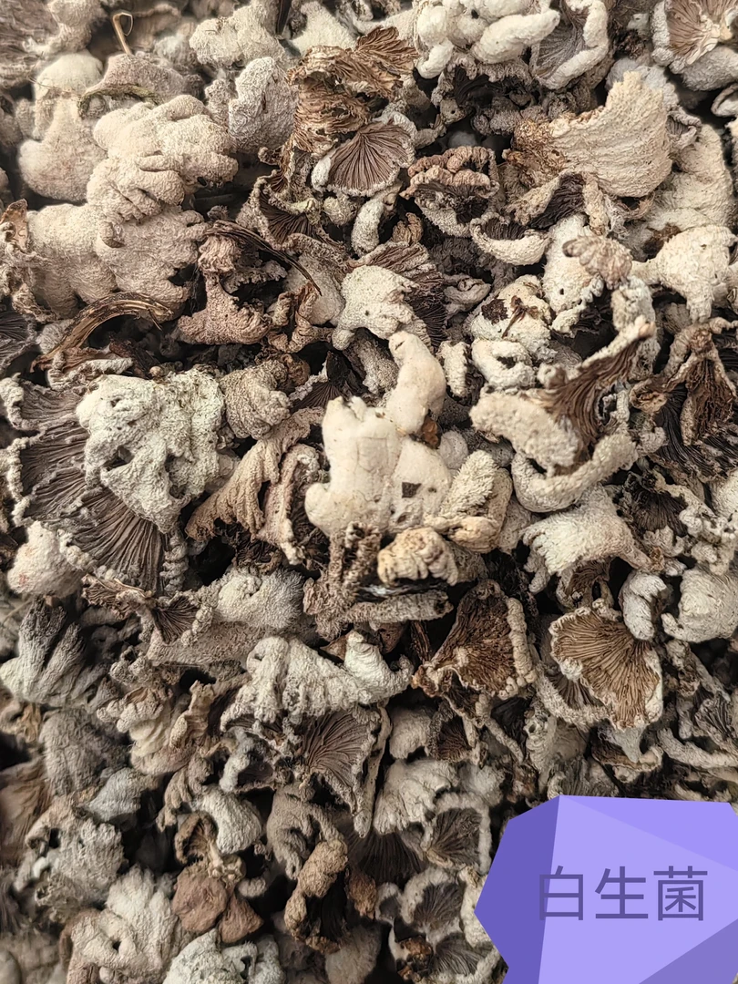 云南土特产，食用农产品，白生香菌