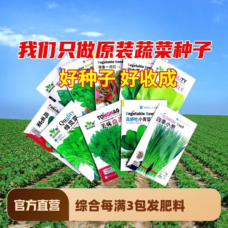 【9.9元10包】蔬菜种子四季播家庭阳台盆栽庭院易种植番茄籽孑大全