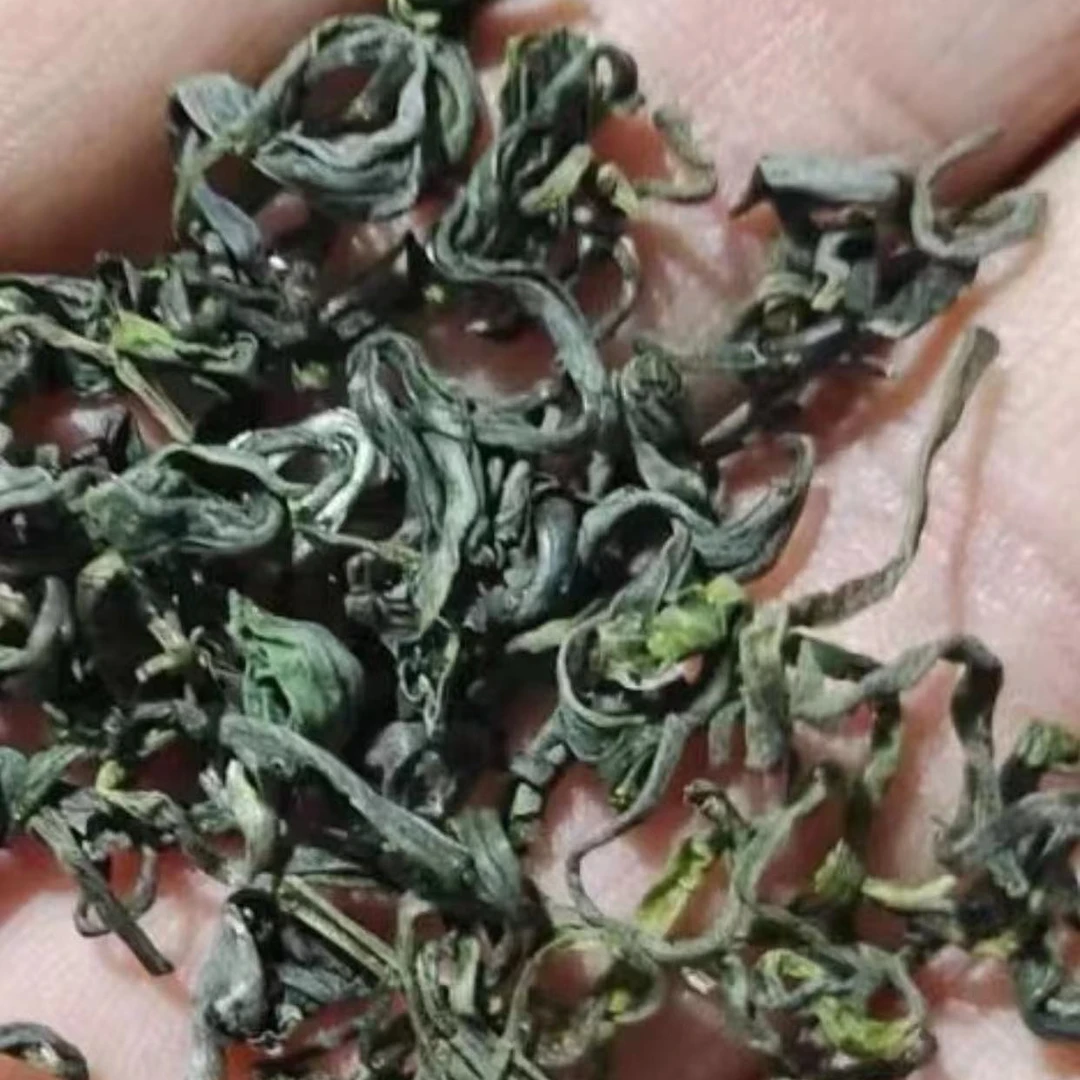 【2024日照绿茶】福利黄绿汤春茶包邮口粮茶浓香耐泡