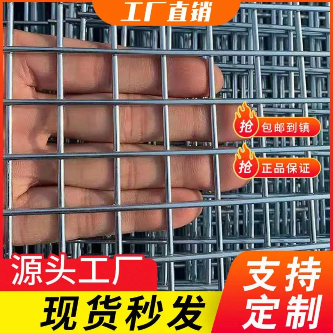 2*2方孔镀锌铁丝网鸽笼网片底网方孔加密围栏防护型耐用网面