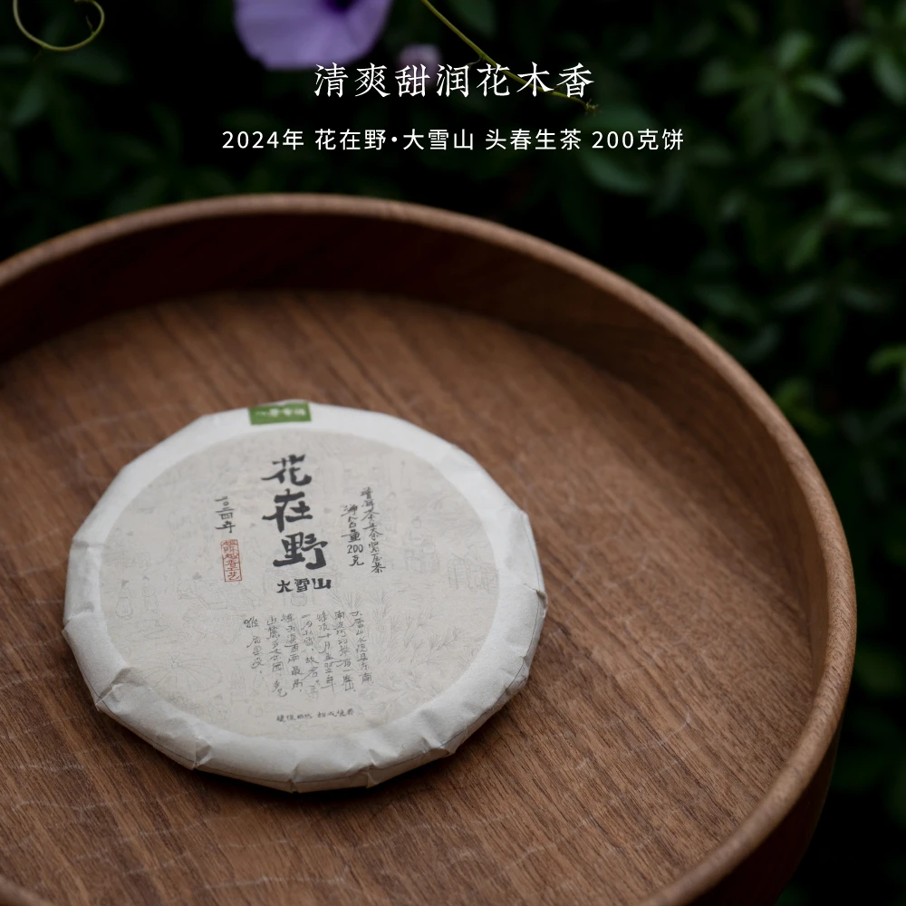 【迟锐的茶】2024年 花在野 永德大雪山 头春生茶 200克饼茶