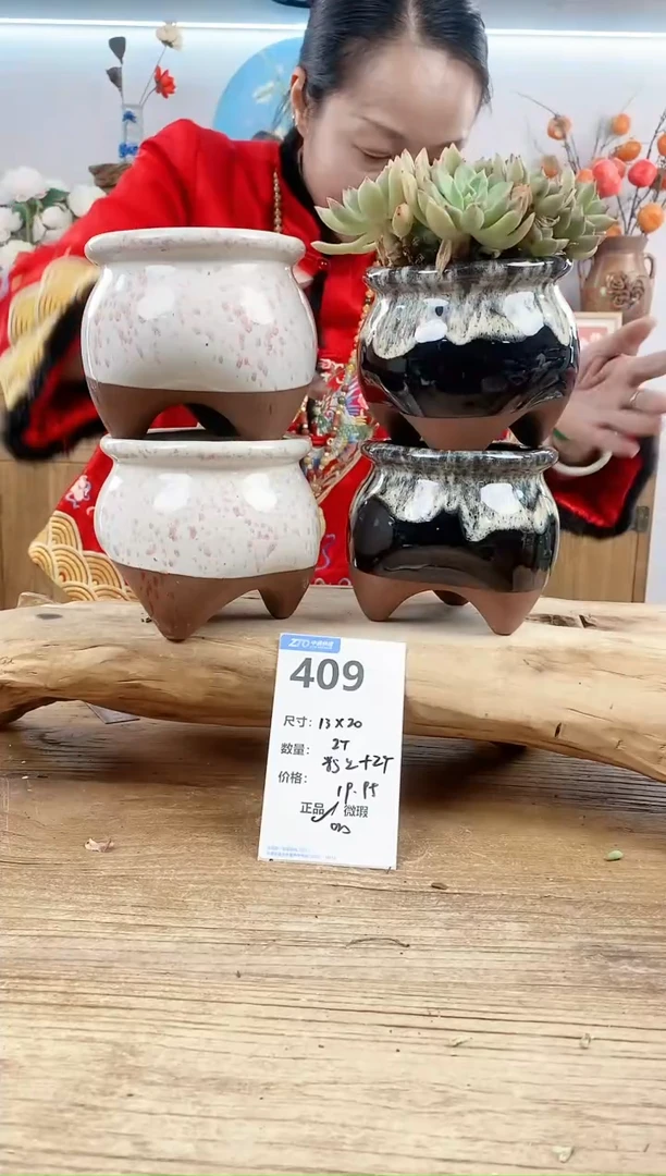 【闪购商品】红陶15cm以下409