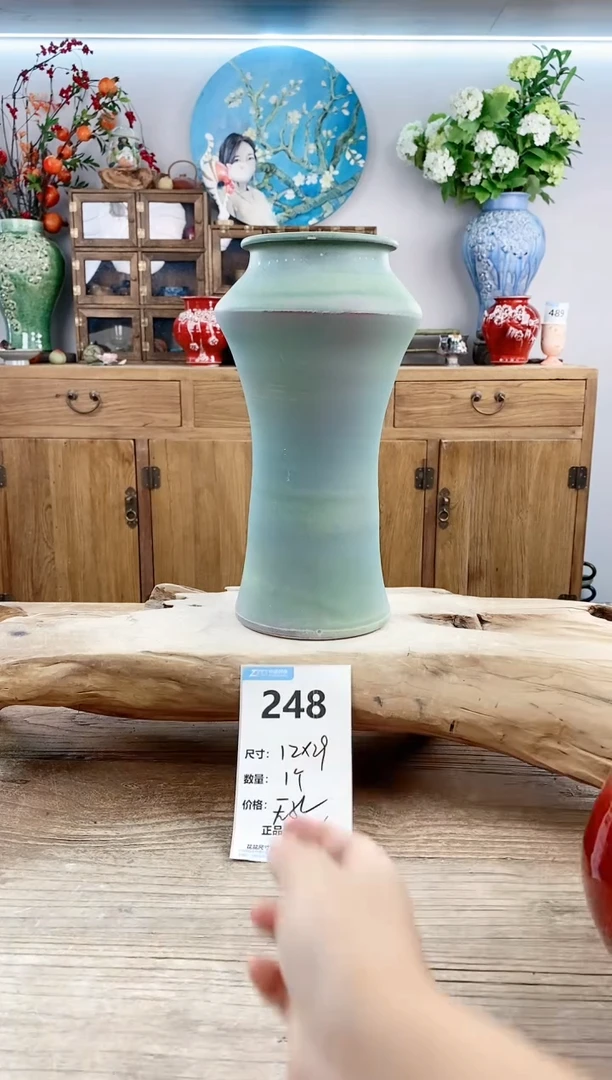 【闪购商品】陶瓷20CM以下248
