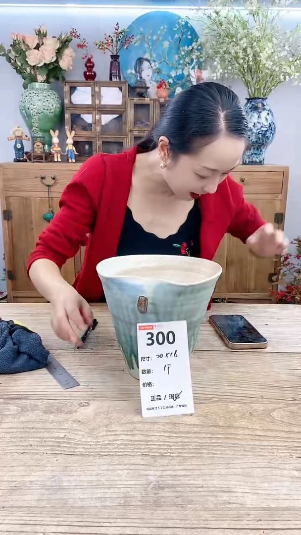 【闪购商品】红陶300