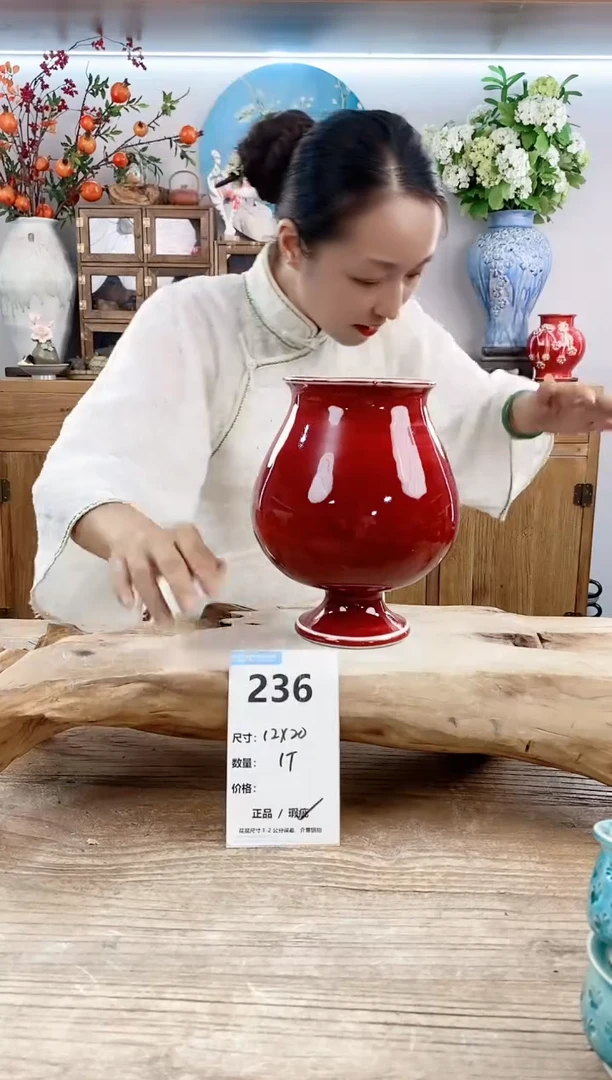 【闪购商品】陶瓷20CM以下236