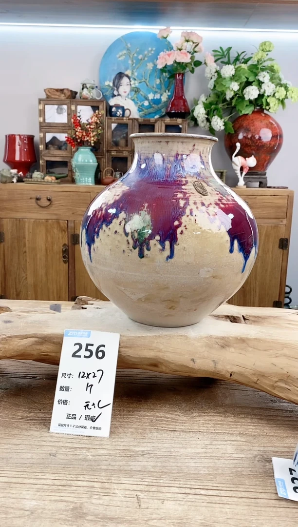 【闪购商品】陶瓷20CM以下256
