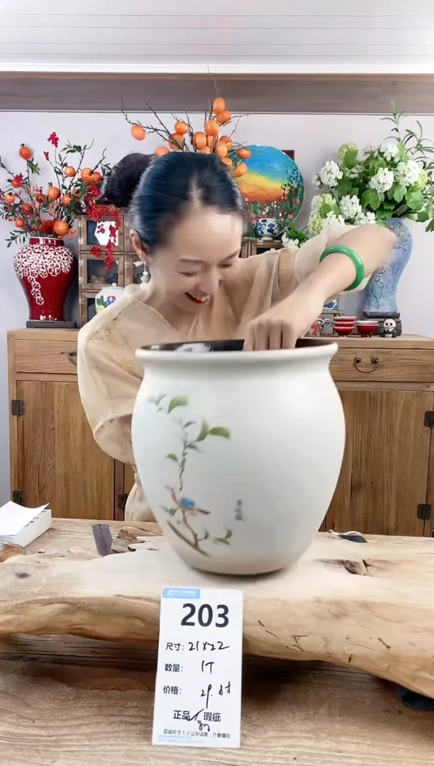 【闪购商品】陶瓷20CM（含）-50CM（不含）203