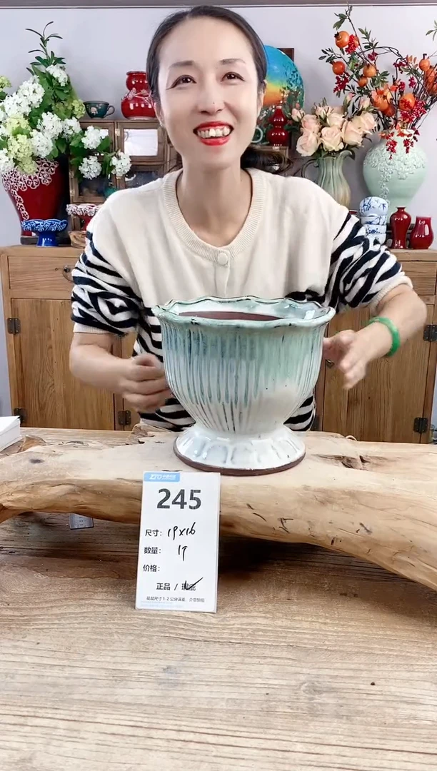 【闪购商品】红陶20CM以下245