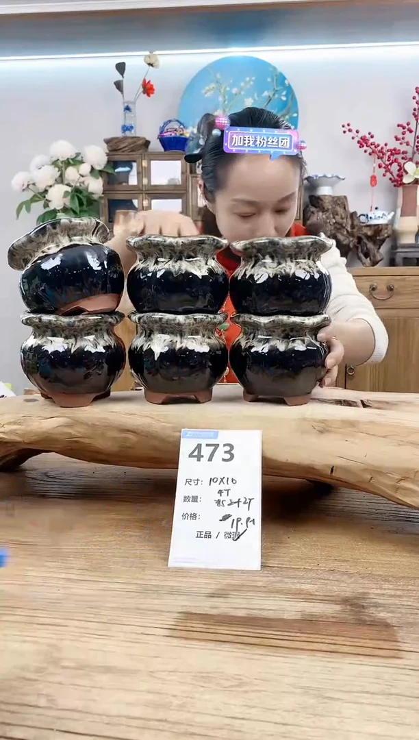 【闪购商品】红陶15cm以下473