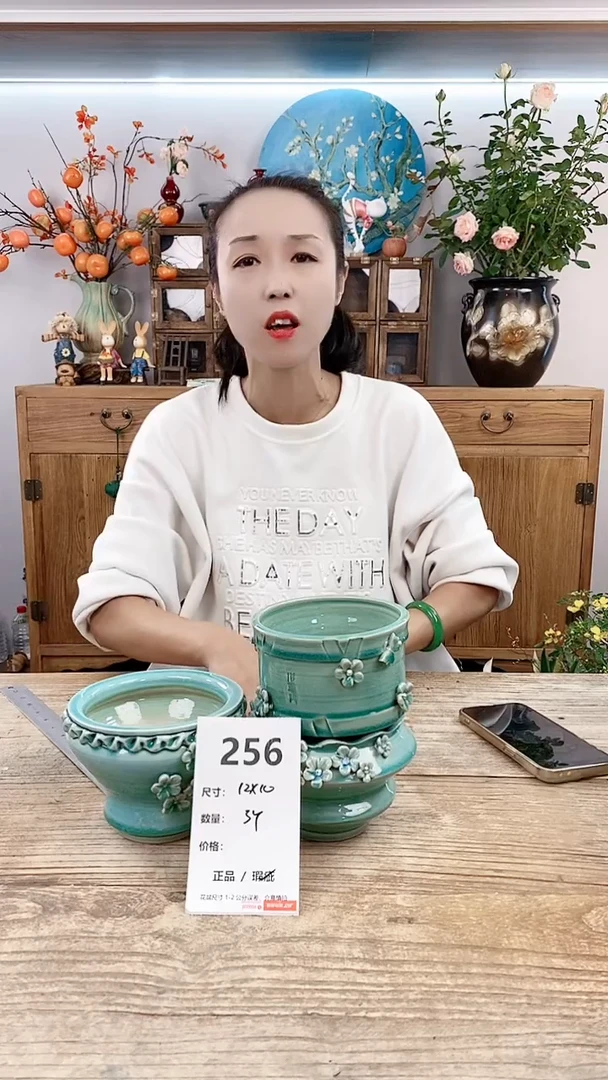 【闪购商品】红陶20CM以下256