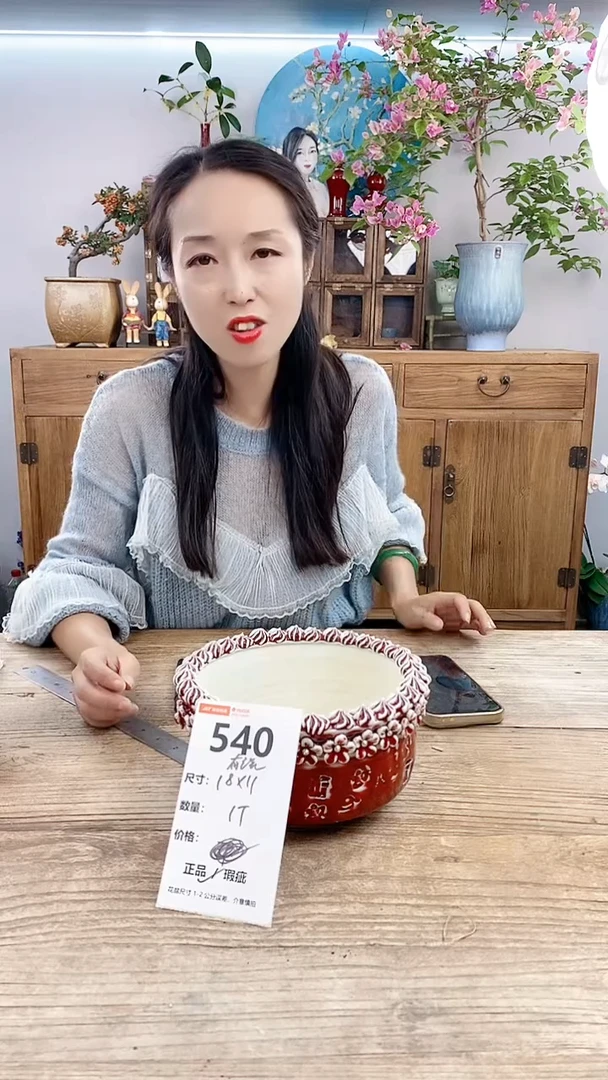 【闪购商品】红陶20CM以下540