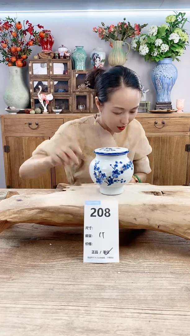 【闪购商品】陶瓷20CM以下208