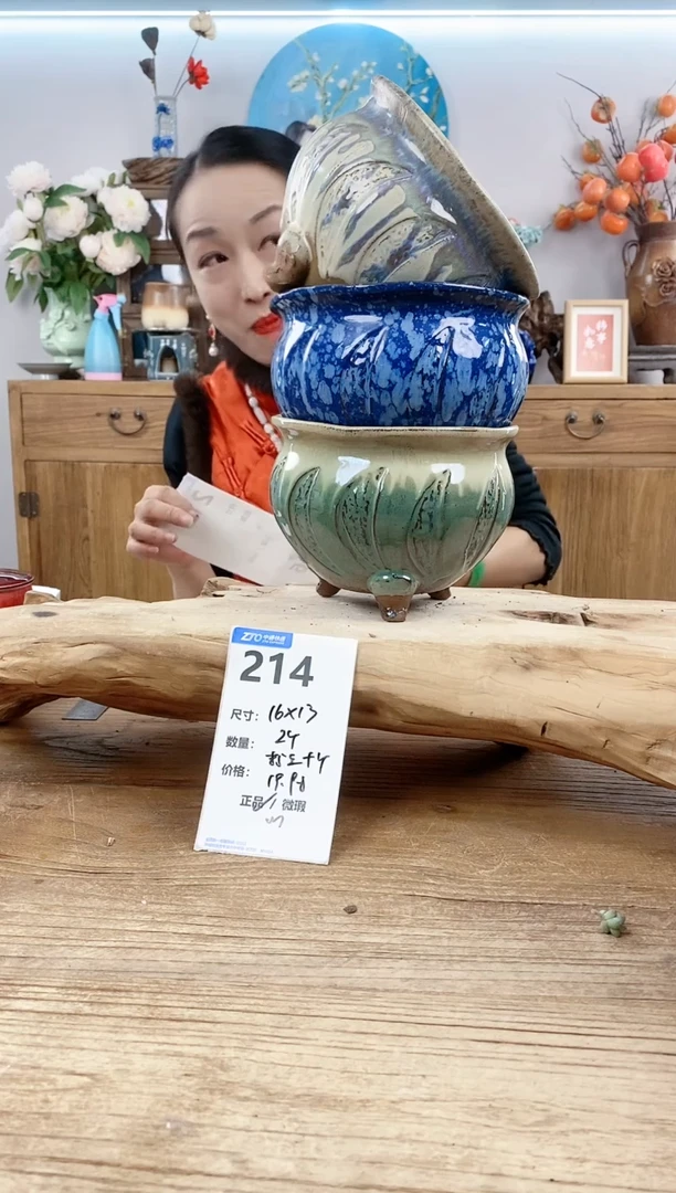 【闪购商品】红陶15cm以下214