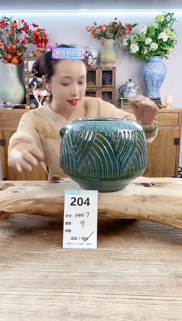 【闪购商品】陶瓷20CM以下204