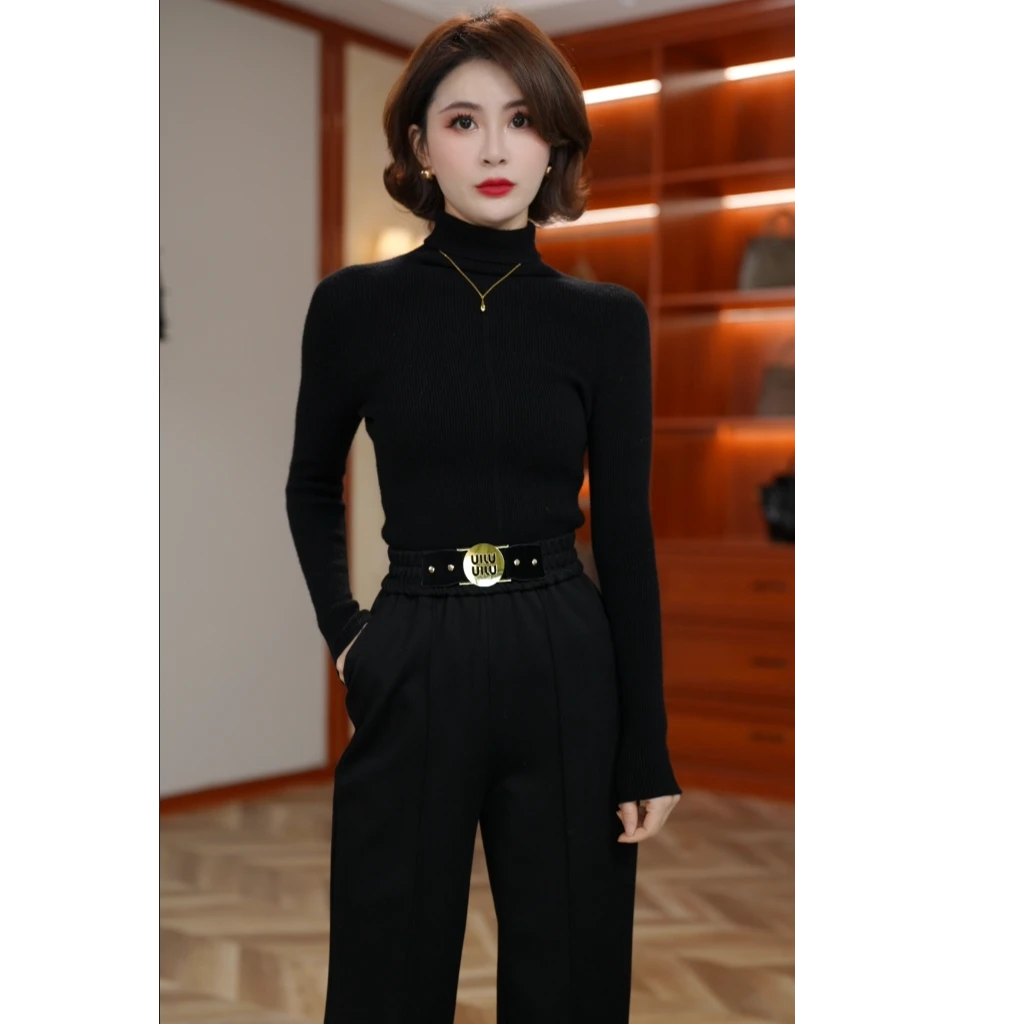 2025秋冬上新时尚气质半高领长袖百搭显瘦羊毛衫D46