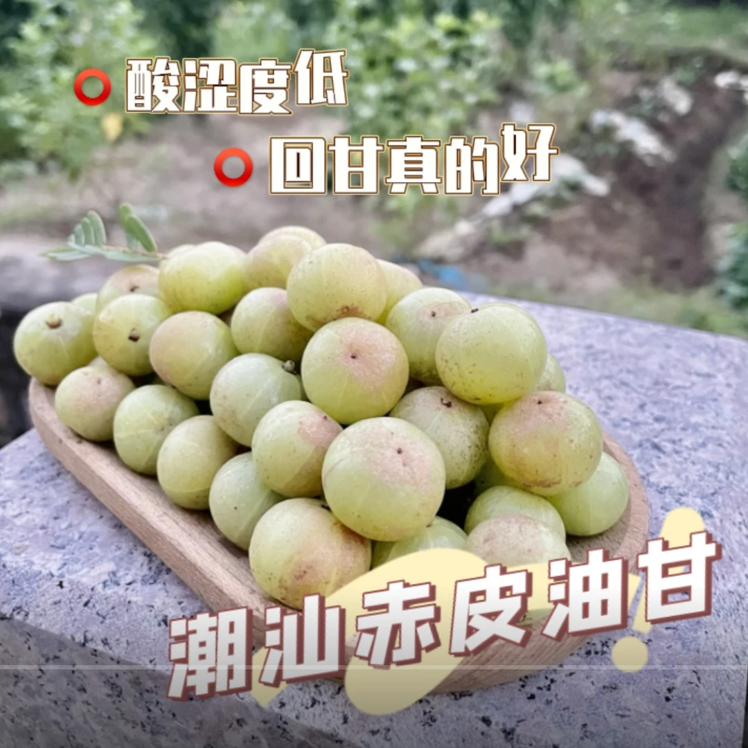 潮汕金灶  赤皮油甘果 新鲜粗皮    小果   一斤装