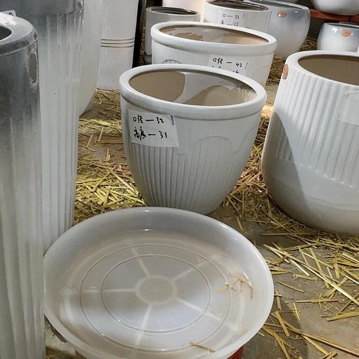 红陶20CM（含）-50CM（不含）