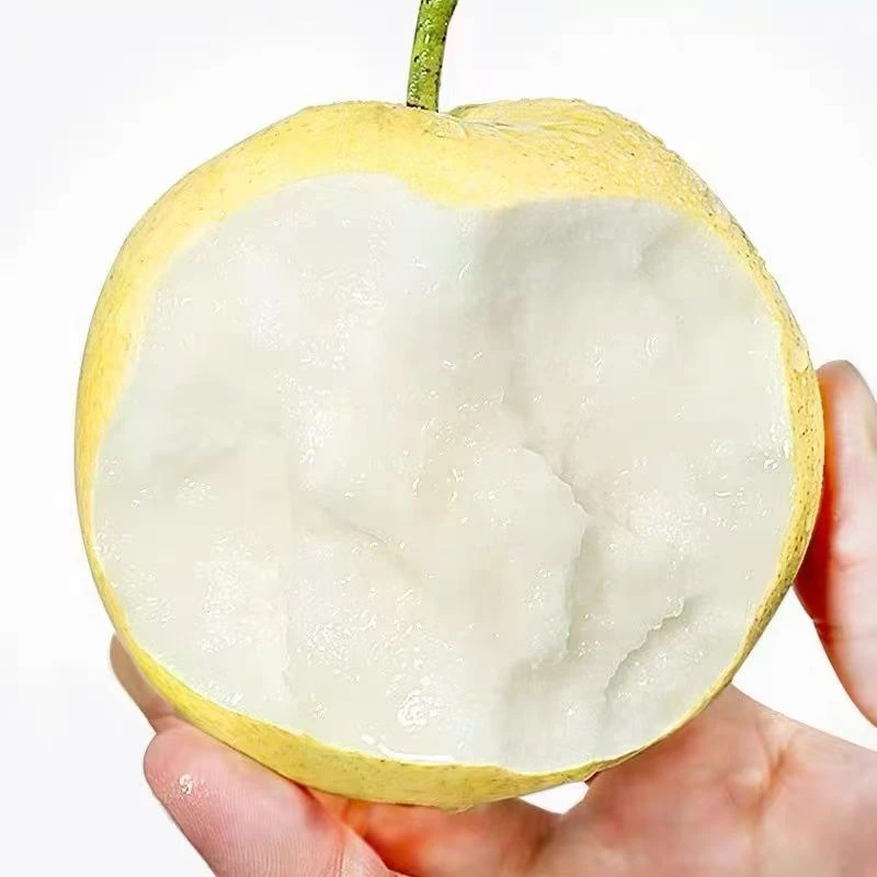 皇冠梨雪梨2斤新鲜水果梨子整箱梨皮薄爆汁