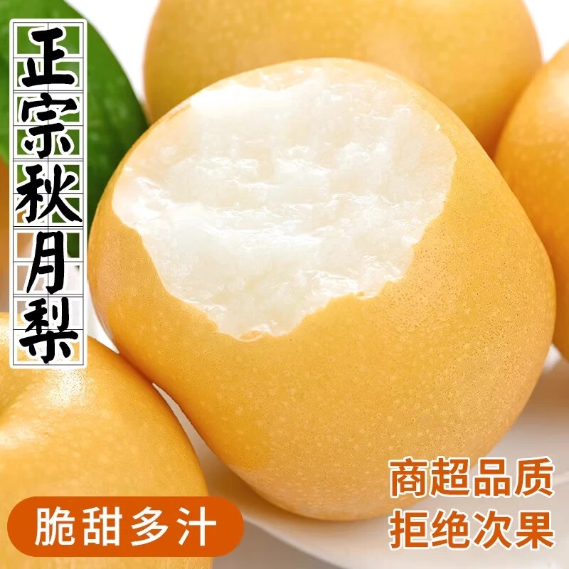 【辛平优选】产地直发正宗山东烟台秋月梨5斤装冰糖雪梨香酥梨果王