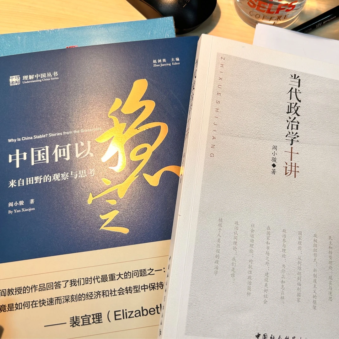 阎小骏组合（当代政治学十讲+中国何以稳定）