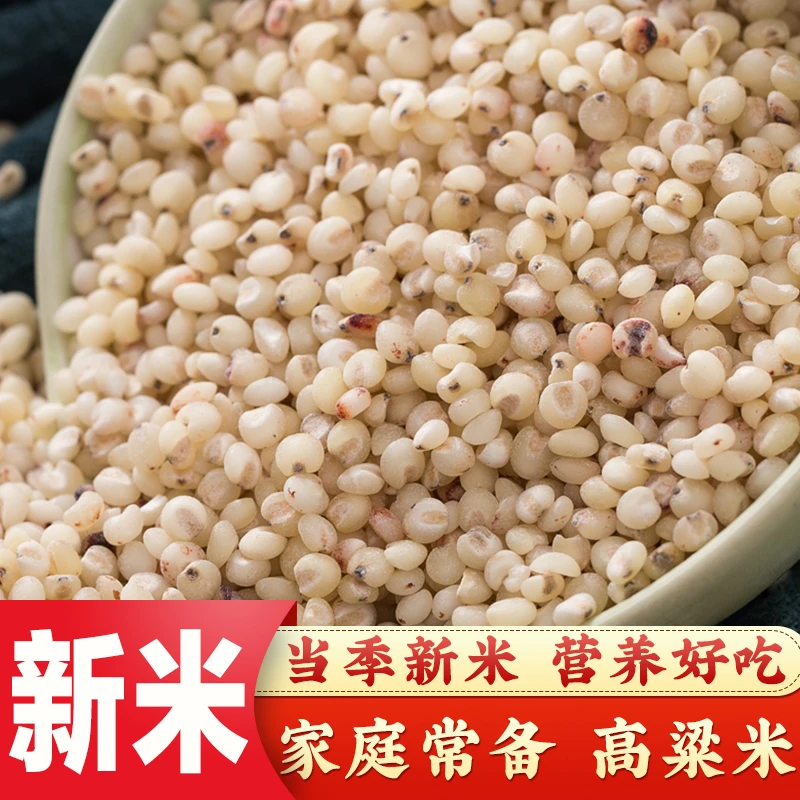 新鲜营养食用饱满煮粥去皮高粱米全家常备米红高粱米