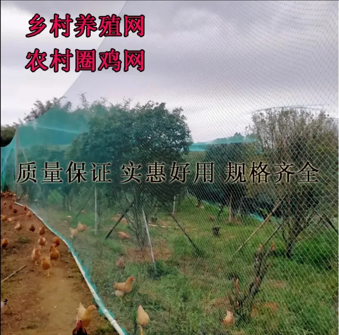 家禽养殖网养鸡拦鸡网散养护栏网 养鸡鸭鹅网 圈鸡网