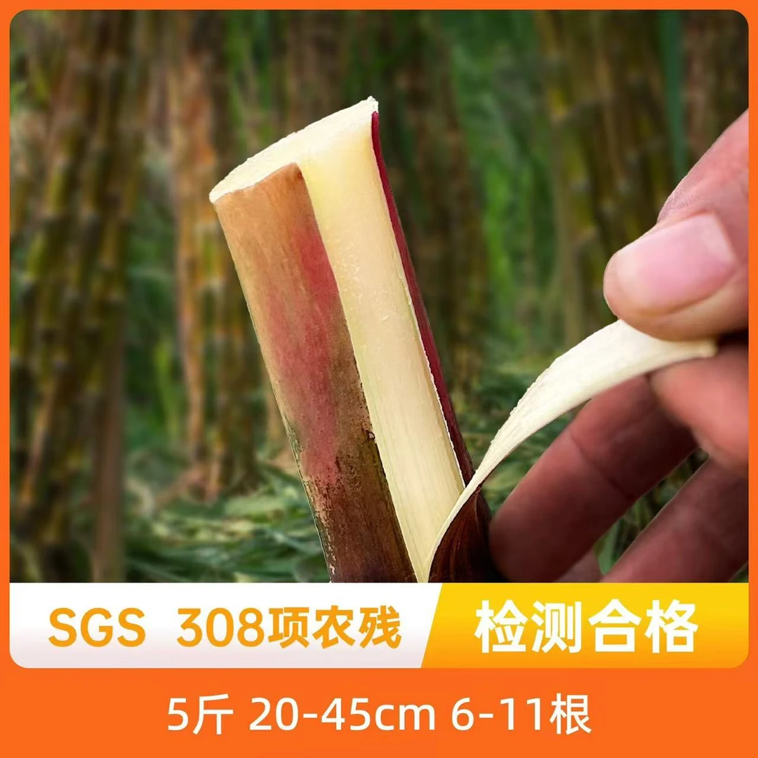 辰颐物语云南脆皮甘蔗5斤装6-11根 新鲜水果手撕甘蔗