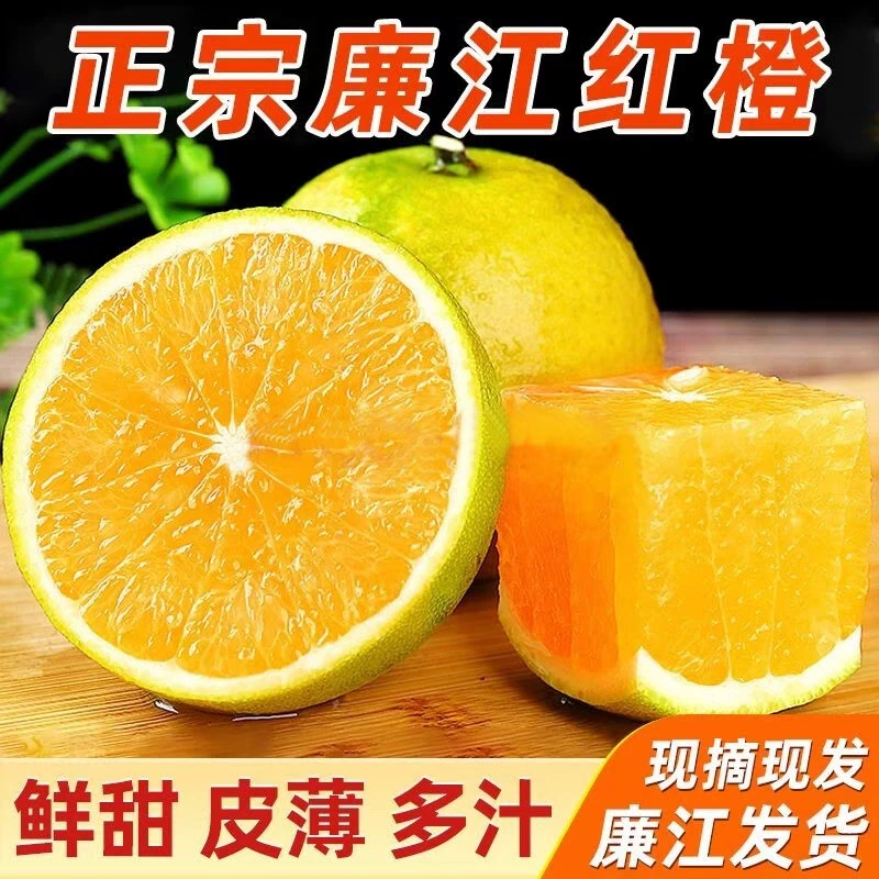 正宗廉江红橙新鲜当季水果现摘10斤装湛江市廉江市特产