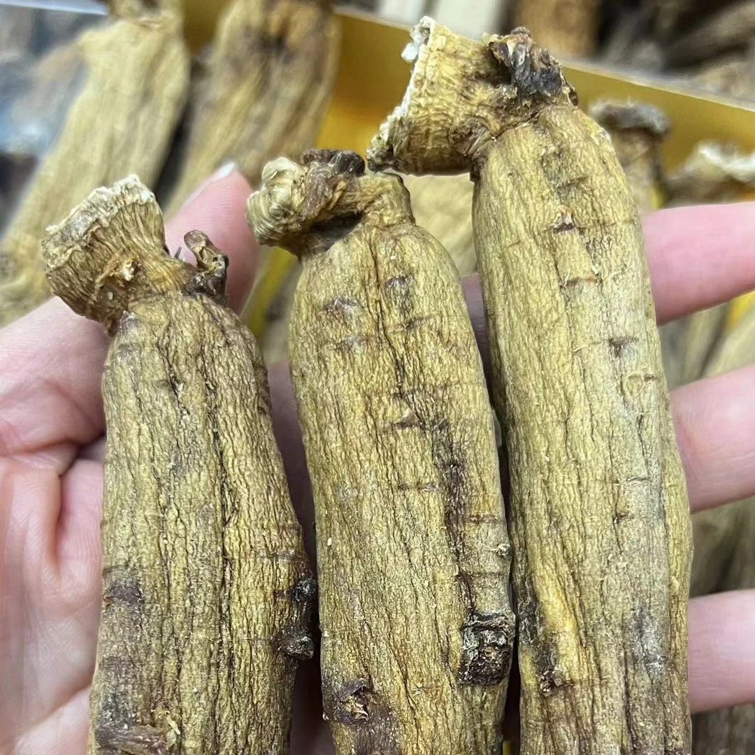 真珍来点 高高丽 参（6年）