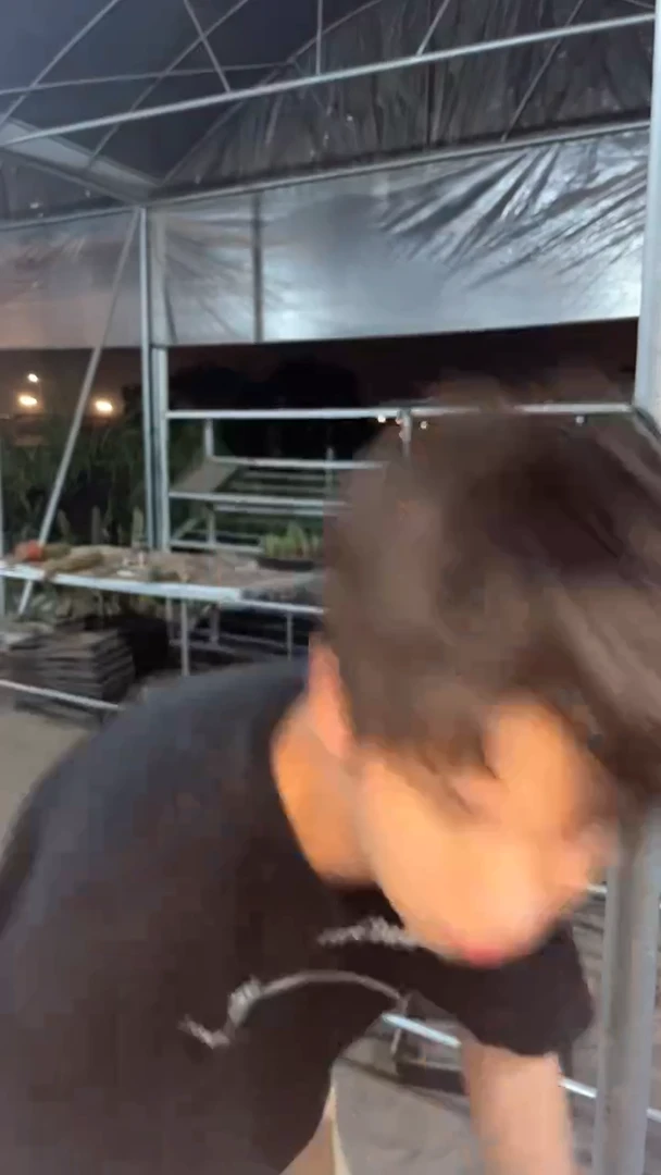 【闪购商品】超大金虎 带刺20cm