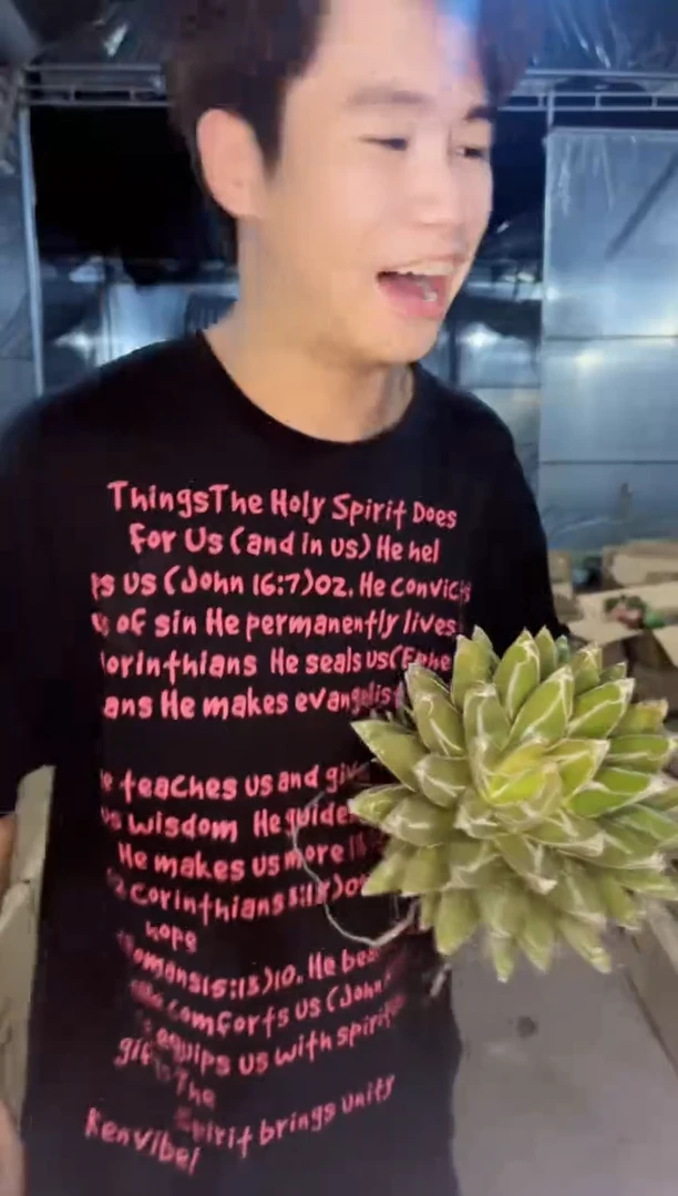 【闪购商品】屉之雪