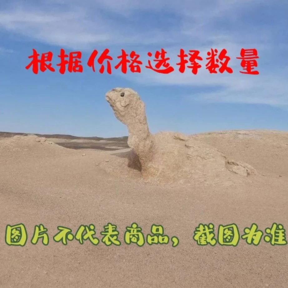 戈壁彩石摆件.........