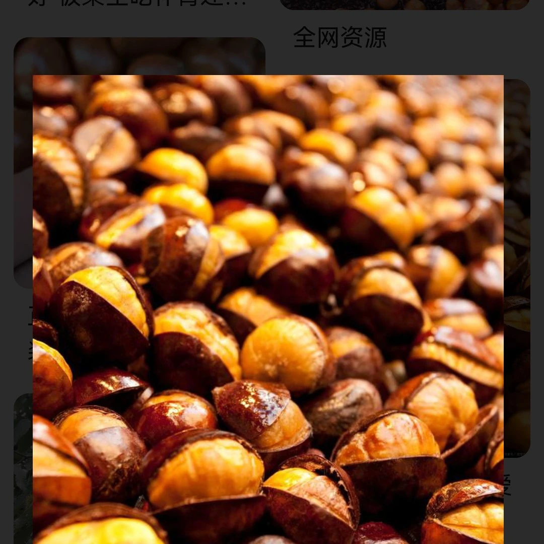 大红袍板栗苗，京东板栗苗，油栗子苗