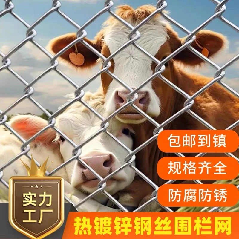 热镀锌铁丝网围栏养殖勾花网养鸡钢丝网果园护栏网格圈牛羊隔离网