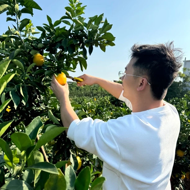 正宗赣南脐橙新鲜水果应季小吃自家种植现场采摘很甜很好吃的橙子