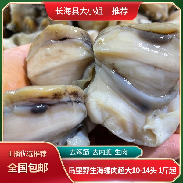 【岛里野生海螺肉】去辣筋去内脏生肉 1斤起