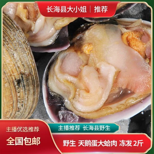 【天鹅蛋大蛤肉】长海县野生蛤蜊特大白蛤冻发 2斤