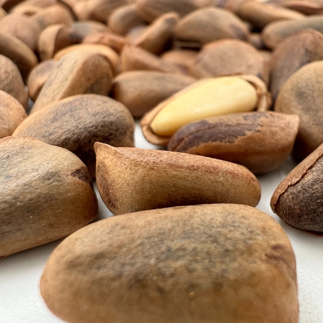 野生松子 东北野生开口大颗粒原味松子一斤/二斤包邮