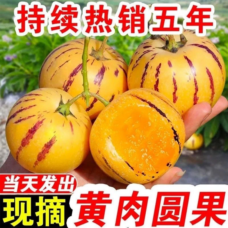 人参果水果500g皮薄饱满清甜成熟香甜食用成熟清香