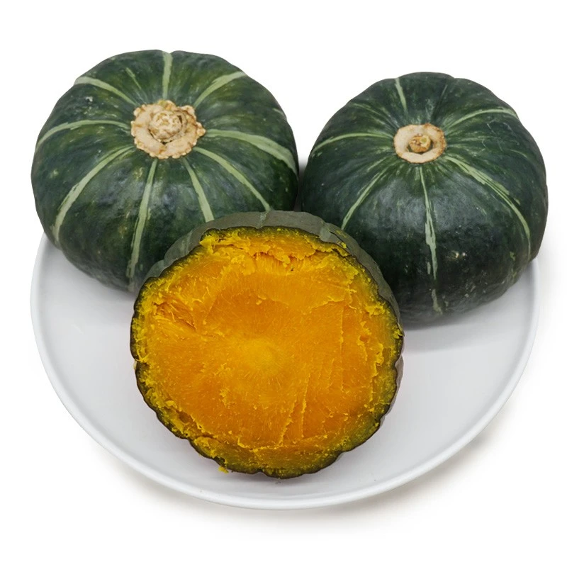 沙地贝贝小南瓜 5装 粉糯香甜坏果包赔宝宝辅食