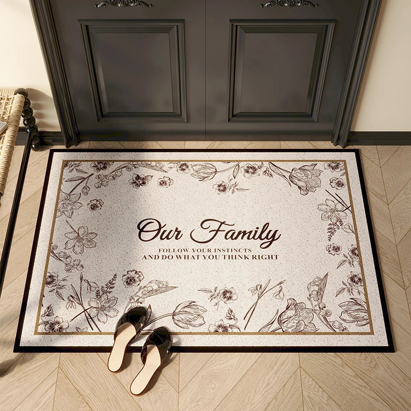 丝圈入户门地垫玄关进门地垫防滑门垫门外脚垫室外入门户地毯