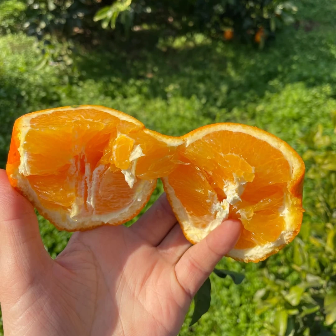 重庆奉节脐橙当季新鲜橙子整箱发货