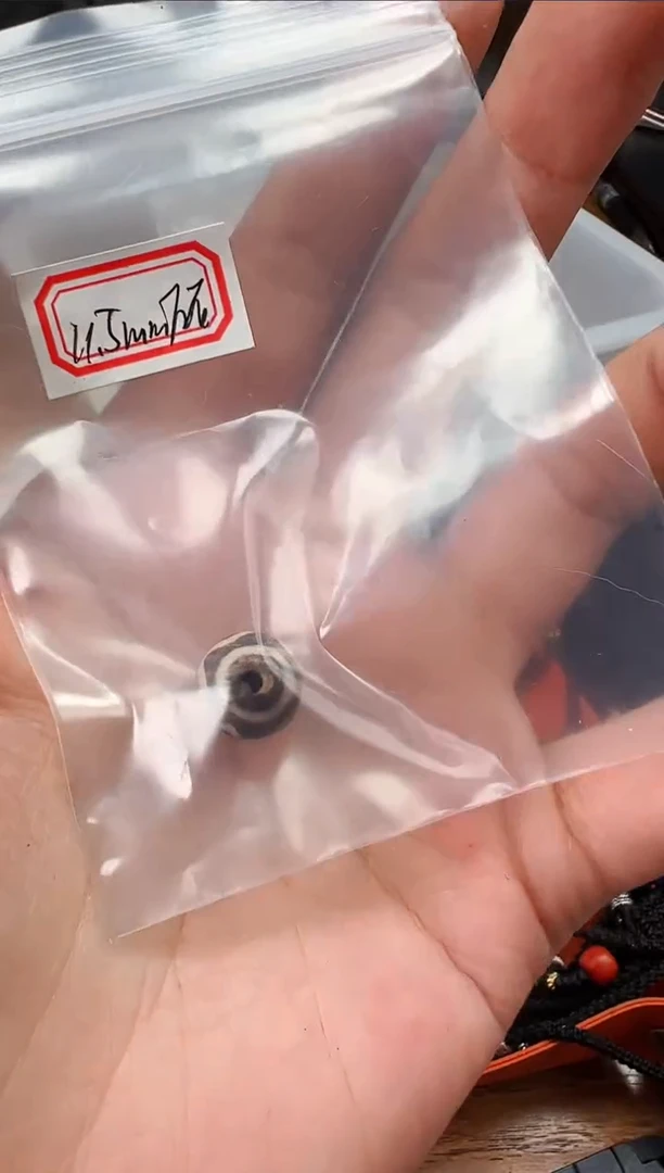 【闪购商品】硅化木颈饰未镶嵌【肖钟出品】 随发